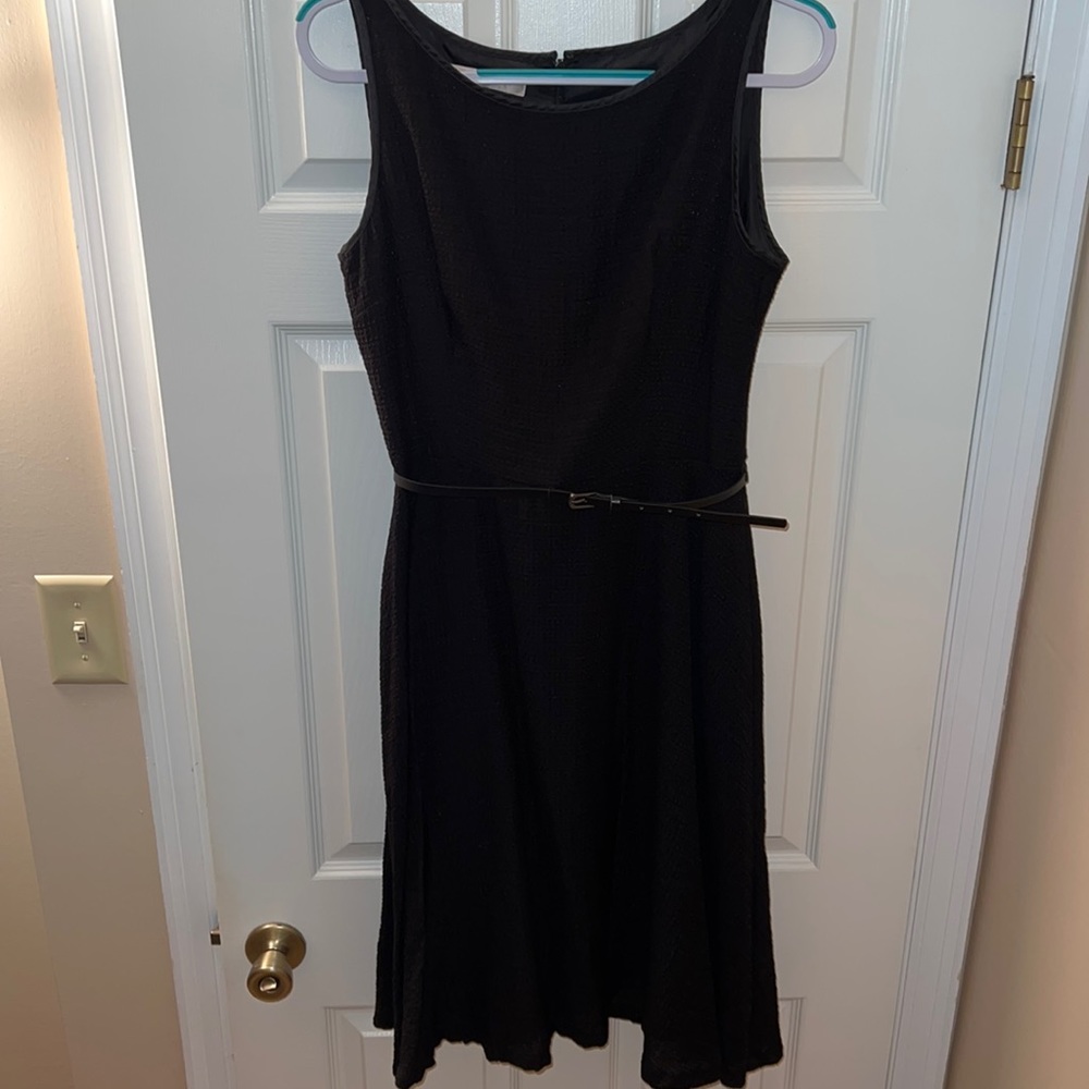 Evan Piccone fit and flair dress